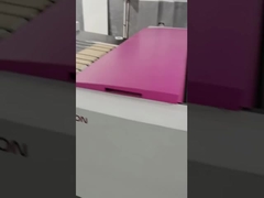 コンピュータ製版のための1130*880mm UVCTP CTCPの印字機