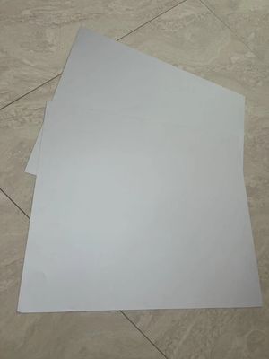 白い プロセス のない CTP プレート の 印刷 に よっ て 卓越 し た 印刷