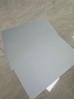 プロセス のない 印刷 プレート を 用い て,印刷 プロセス に 革命 的 な 変化 を 起こす